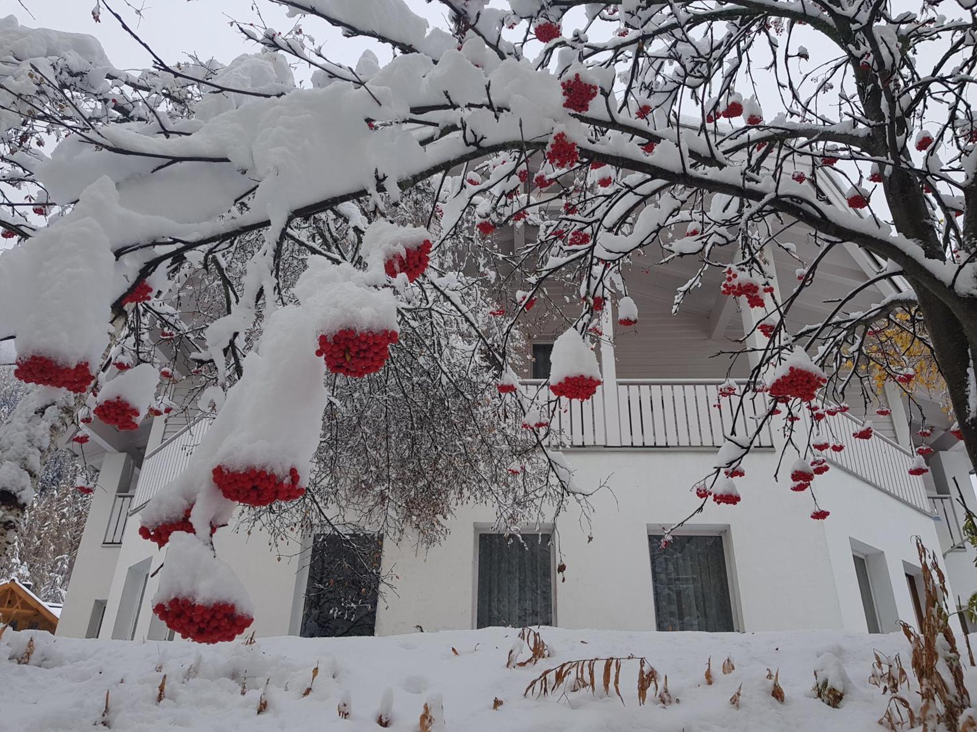 Apart Foresta Samnaun Exterior foto